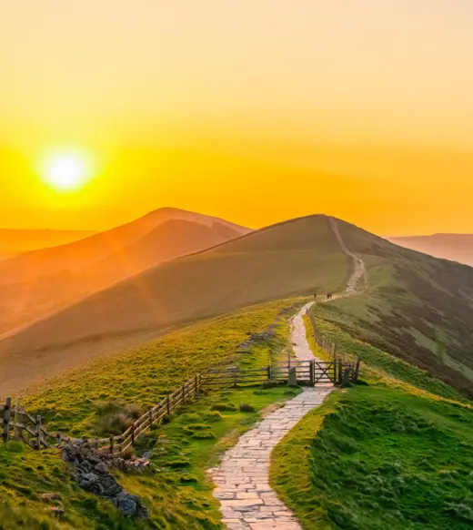 Performance is still essential. But it’s no longer enough.