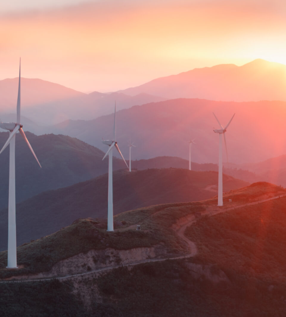 Adobestock 2158427942X