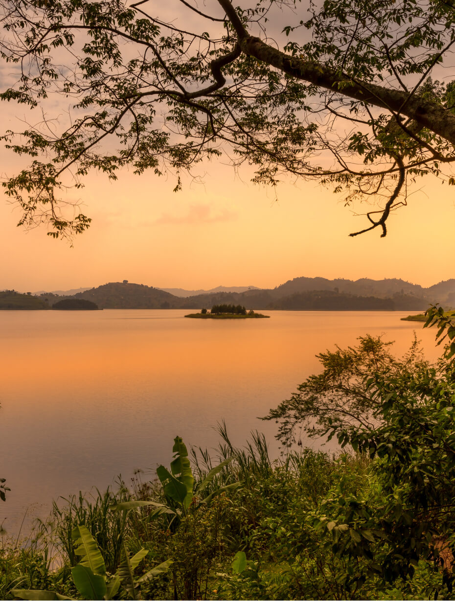 Orange sunrise across a lake with an island and a tree in the front