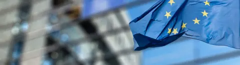 EU representative service