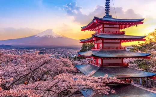 Apex Group appointed for launch of Nezu Asia’s new Japan focused Engagement fund