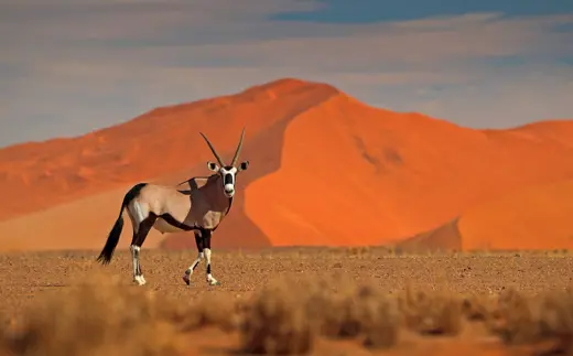 Namibian Arysteq Asset Management partners with Apex Group